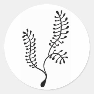 Sea Fern Sticker