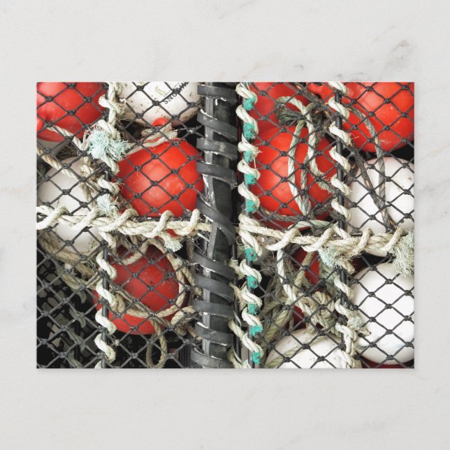 SEA FISHING POSTCARD (Front)