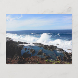 Sea Foam Beach Mist Coastal Destiny's Destiny Postcard