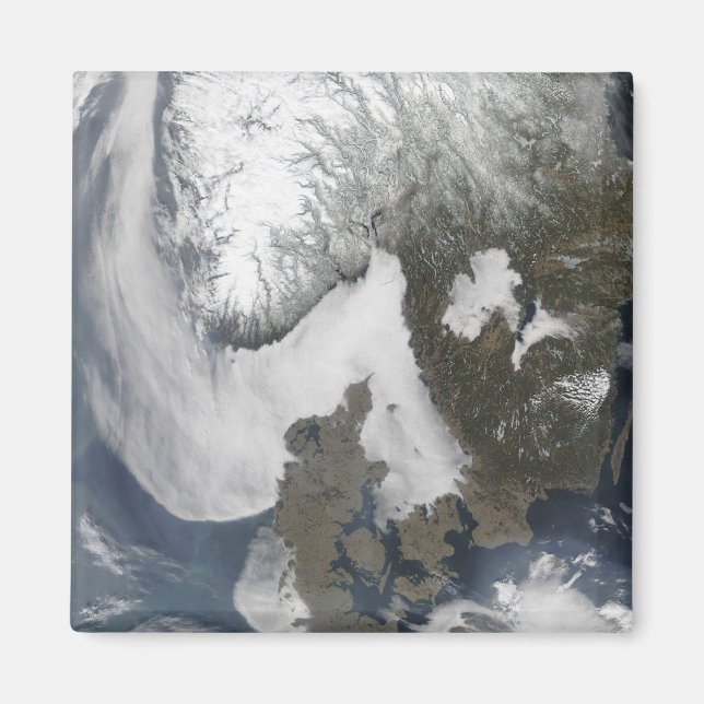 Sea Fog in Scandinavia Magnet (Front)