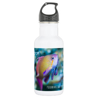 Sea goldie, colourful cute fish 532 ml water bottle