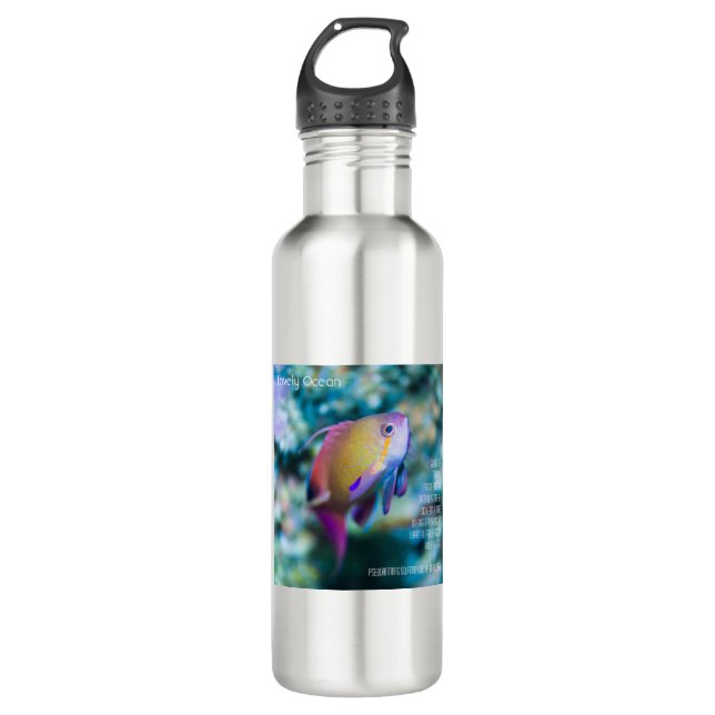 Sea goldie, colourful cute fish 710 ml water bottle (Front)