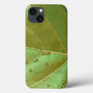 Sea Grape Leaf Closeup iPhone 13 Case