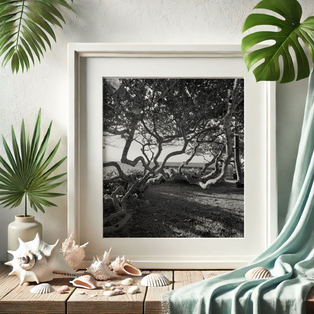 Sea Grapes Black and White Beach Pictures Poster (Beach pictures Jupiter, Florida sea grapes by Victoria Grigaliunas of Do Tell A Belle)