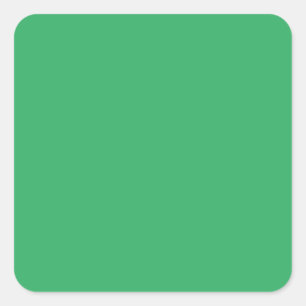  Sea Green #EEAD65, Aqua Forest Square Sticker