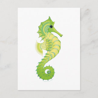 Sea Green Filly Postcard