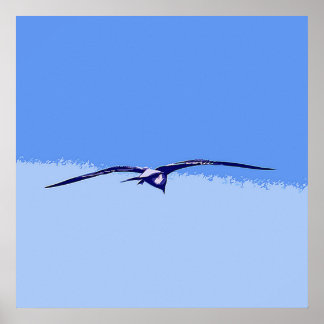 Sea Gull In Flight Poster