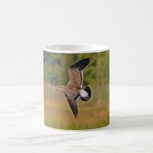 Sea Gull Mug