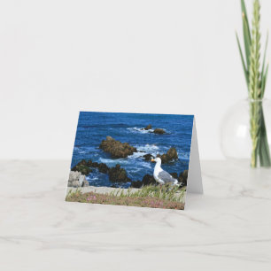 Sea Gull on Pacific Coast, Blank Note Card