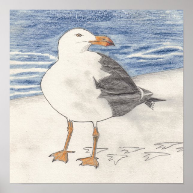 SEA GULL print (15"x15") (Front)