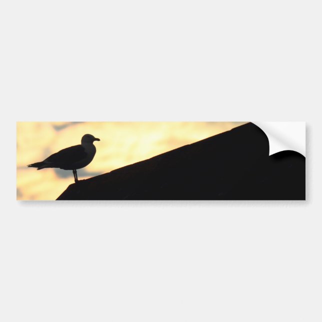 Sea Gull Sunset Bumper Sticker (Front)
