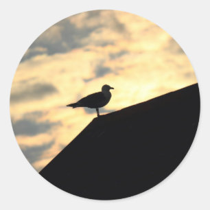 Sea Gull Sunset Classic Round Sticker