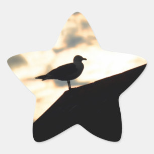 Sea Gull Sunset Star Sticker