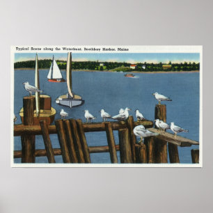Sea Gulls and Sailboats Along the Waterfront Poster
