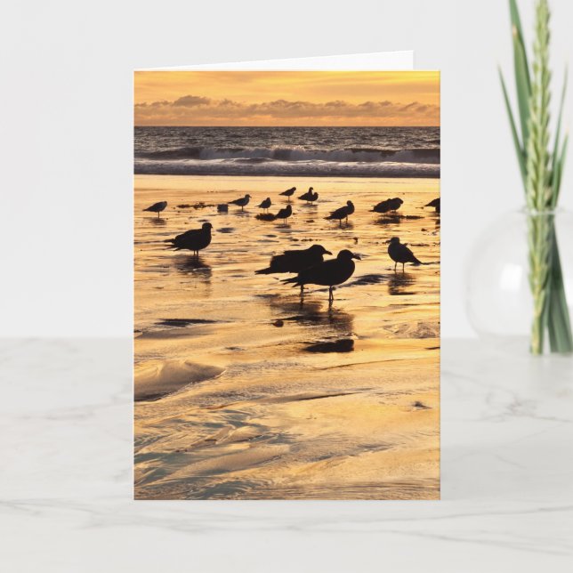Sea Gulls On Beach At Sunset Card (Front)