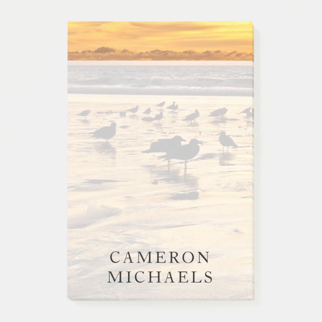 Sea Gulls On Beach At Sunset Post-it Notes (Front)