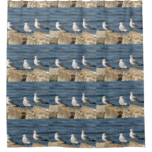 Sea Gulls on Rocks Shower Curtain