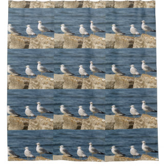 Sea Gulls on Rocks Shower Curtain