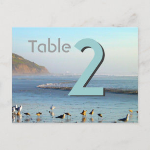 Sea gulls Table Card Number