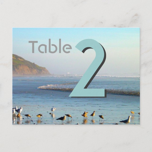 Sea gulls Table Card Number (Front)