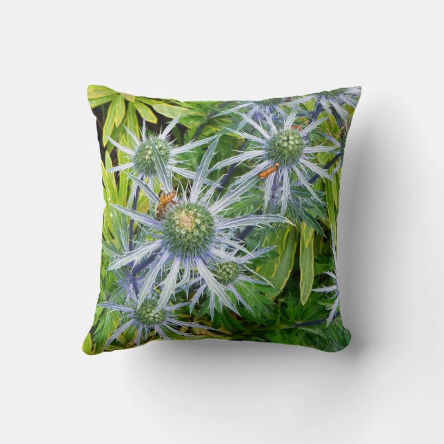 Sea Holly  Cushion (Back)