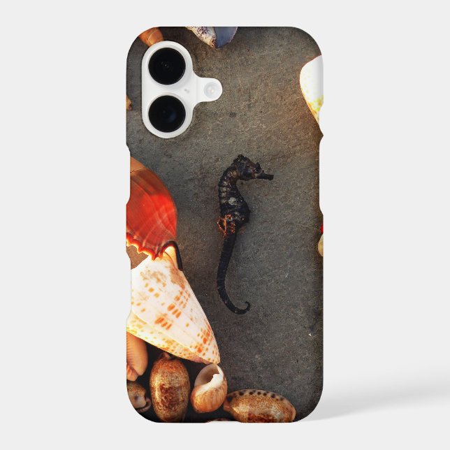 Sea Horse (Back)