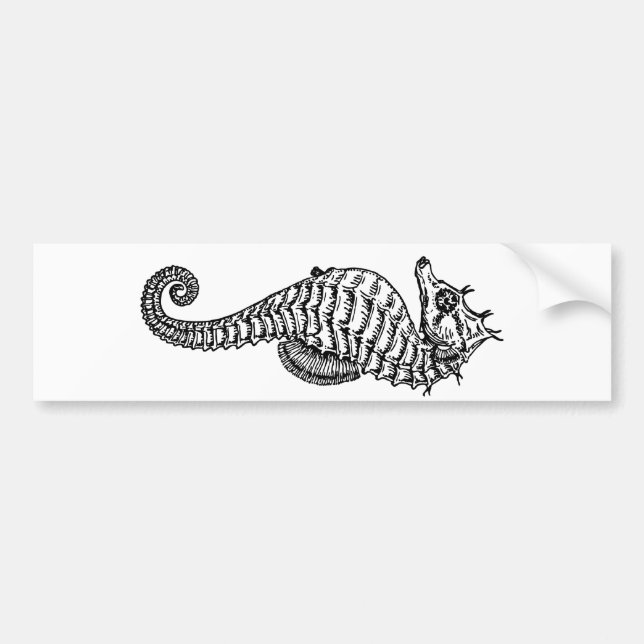 Sea Horse Bumper Sticker (Front)