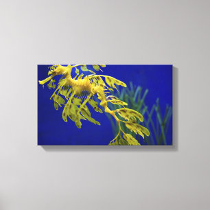 Sea horse canvas print