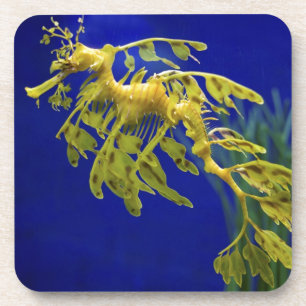 Sea horse coaster