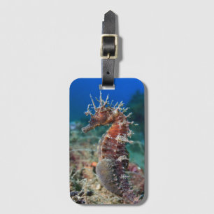 Sea Horse Hippocampus Ramulosus Luggage Tag