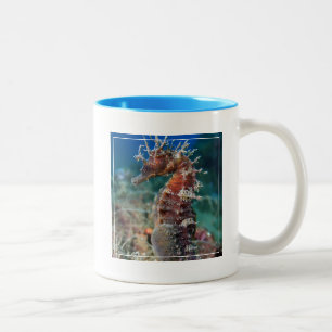 Sea Horse   Hippocampus Ramulosus Two-Tone Coffee Mug