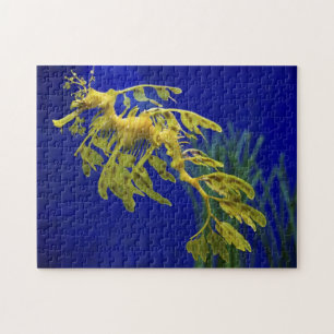 Sea horse jigsaw puzzle