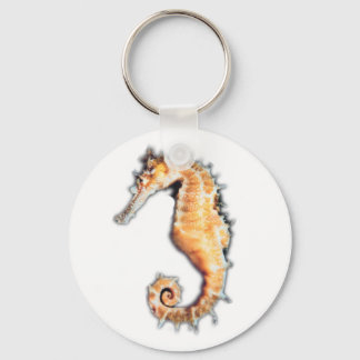 Sea horse key ring