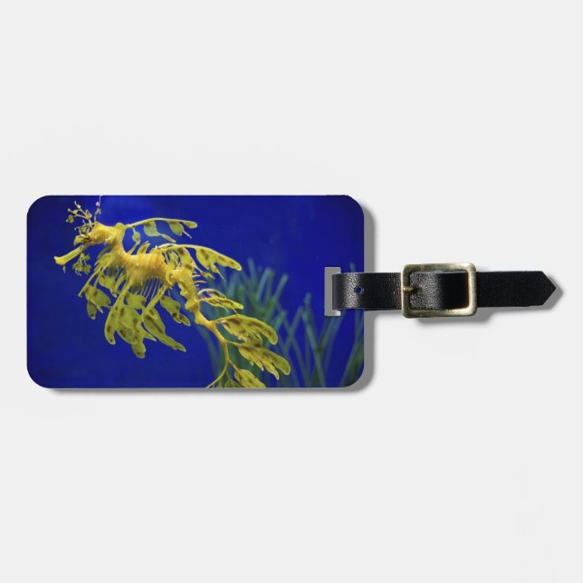 Sea horse luggage tag (Front Horizontal)