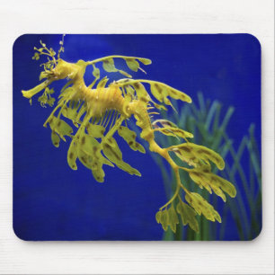 Sea horse mouse mat