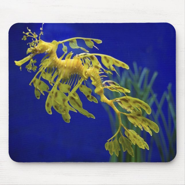 Sea horse mouse mat (Front)