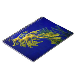 Sea horse notebook