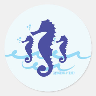 Sea Horse Organic Planet Stickers