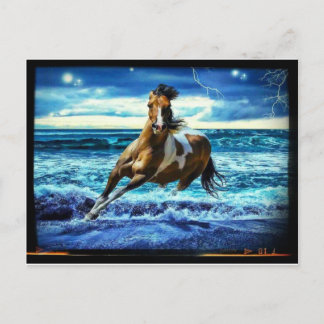 Sea horse postcard
