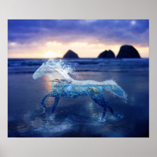 Sea Horse Poster