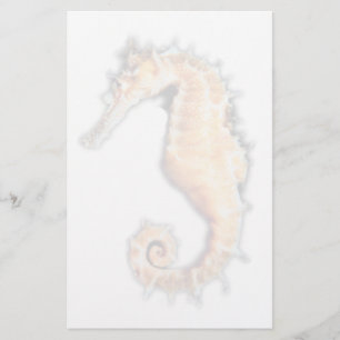 Sea horse Stationery
