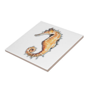 Sea horse Tile (2) sizes