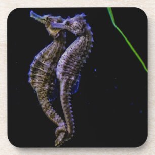 Sea Horses (Seahorses) Coaster