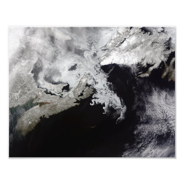 Sea ice fills the Gulf of St Lawrence Photo Print (Front)