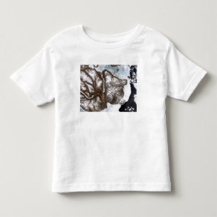 Sea ice lines the shoreline in eastern Greenlan Toddler T-Shirt