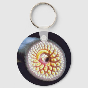 Sea Lamprey Key Ring