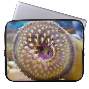 Sea Lamprey Mouth  Laptop Sleeve