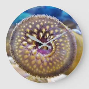 Sea Lamprey Mouth Large Clock