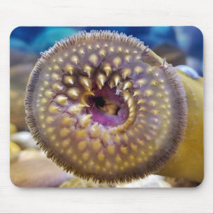 Sea Lamprey mouth Mouse Mat