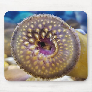 Sea Lamprey Mouth Mouse Mat